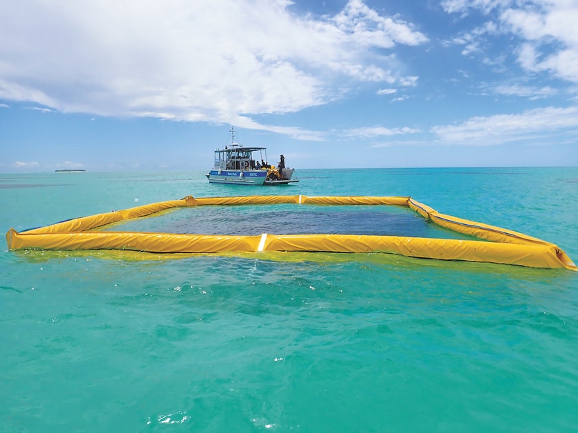 Reseeding a damaged reef at heron island. Most coral larvae drift away. Peter harrison at southern cross university is trialling ‘curtains’ to contain aquarium-grown larvae on this 10 x 10 metre patch of degraded reef.