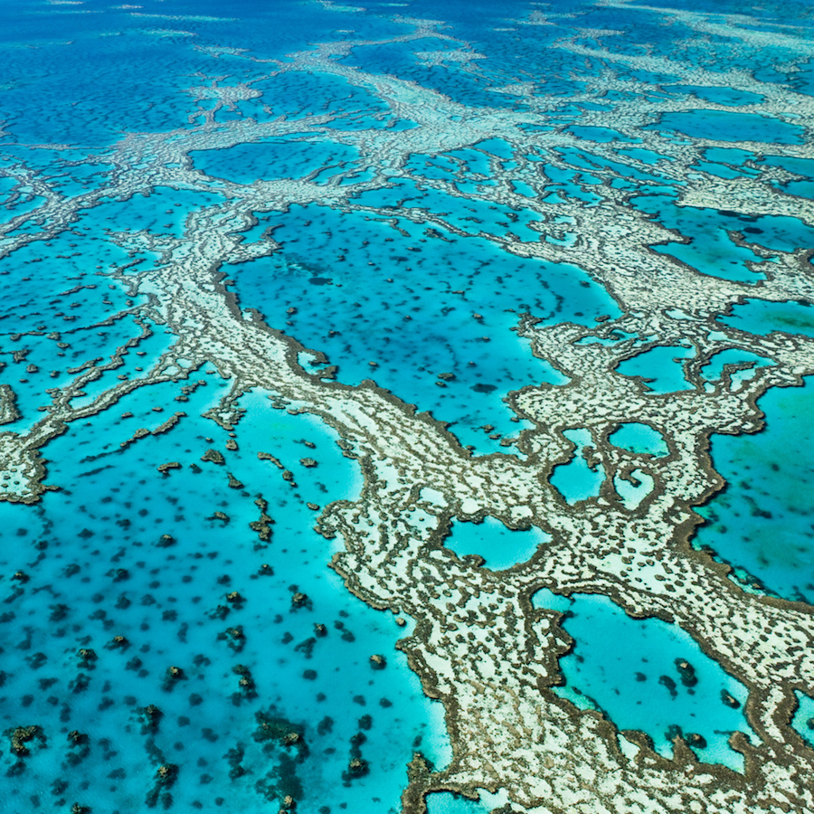 Boeing and AIMS team up to protect Great Barrier Reef - Cosmos Magazine