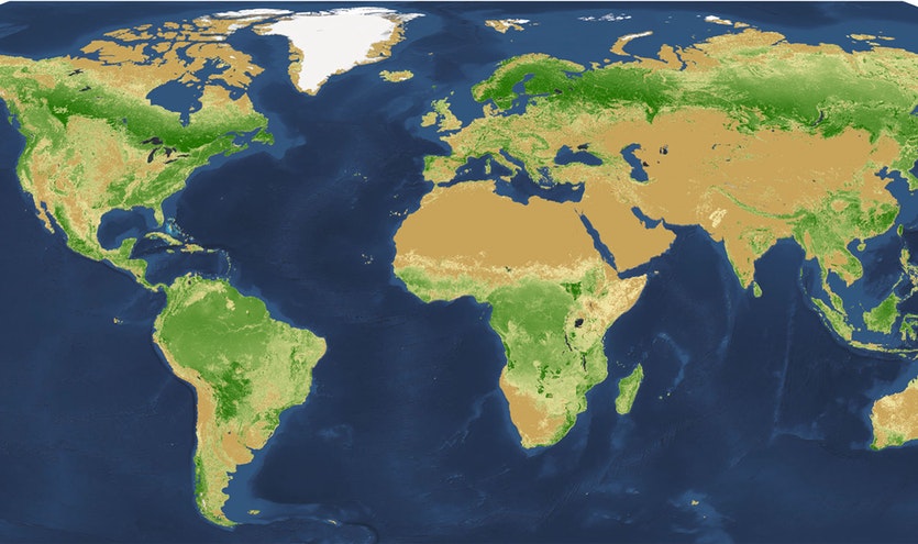 A global map of tree density.