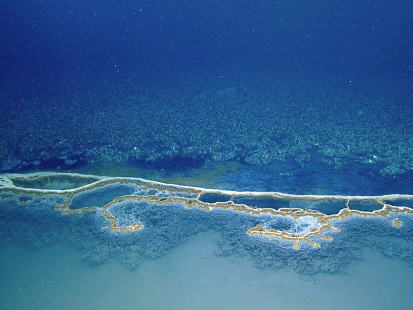 Brine pools are ‘lakes’ of extra-salty water that can form at the bottom of the ocean.