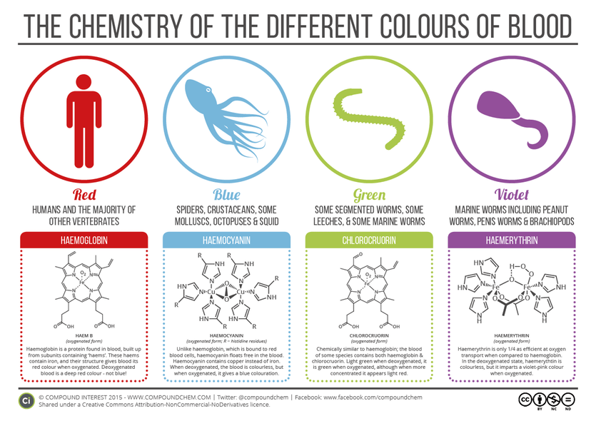 Chemistry of blood colours 2015