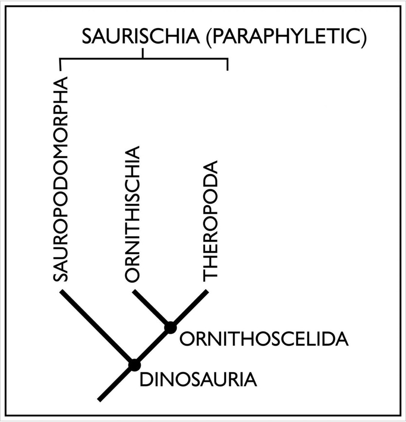 Figure 2 new dino family tree structure image eurekalert science news