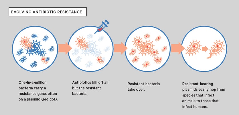 How does antibiotic resistance occur 1