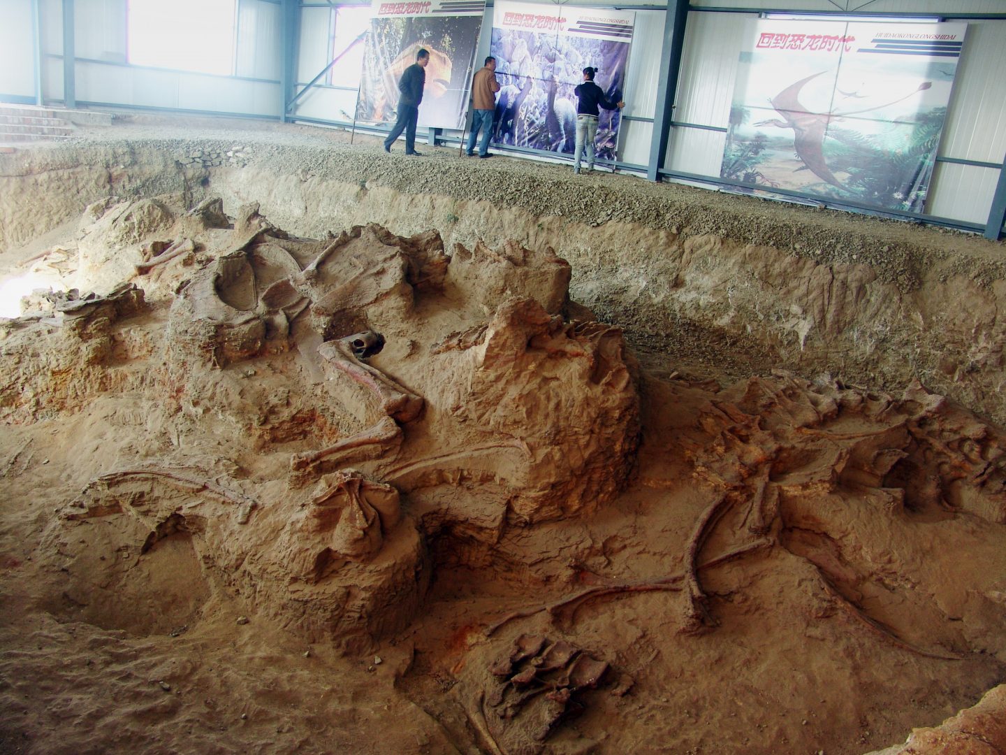 One of the four quarries producing the enormous Lingwulong fossils.