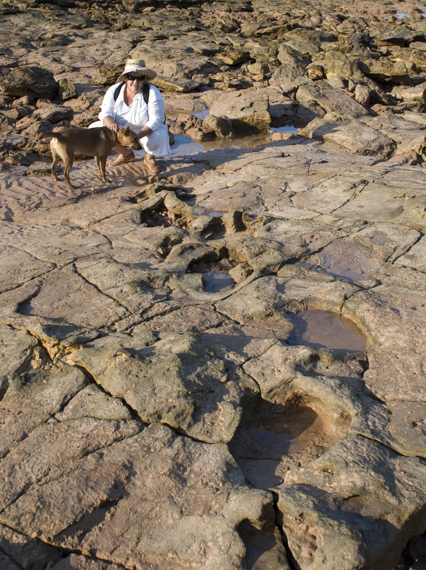 Broome dinosaur tracker louise middleton alongside a stegosaur trackway that she and her partner nigel clarke discovered.