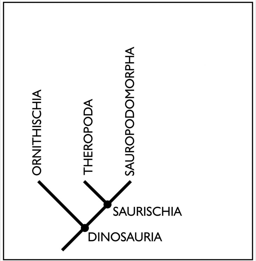 The old dino family tree structure image eurekalert science news