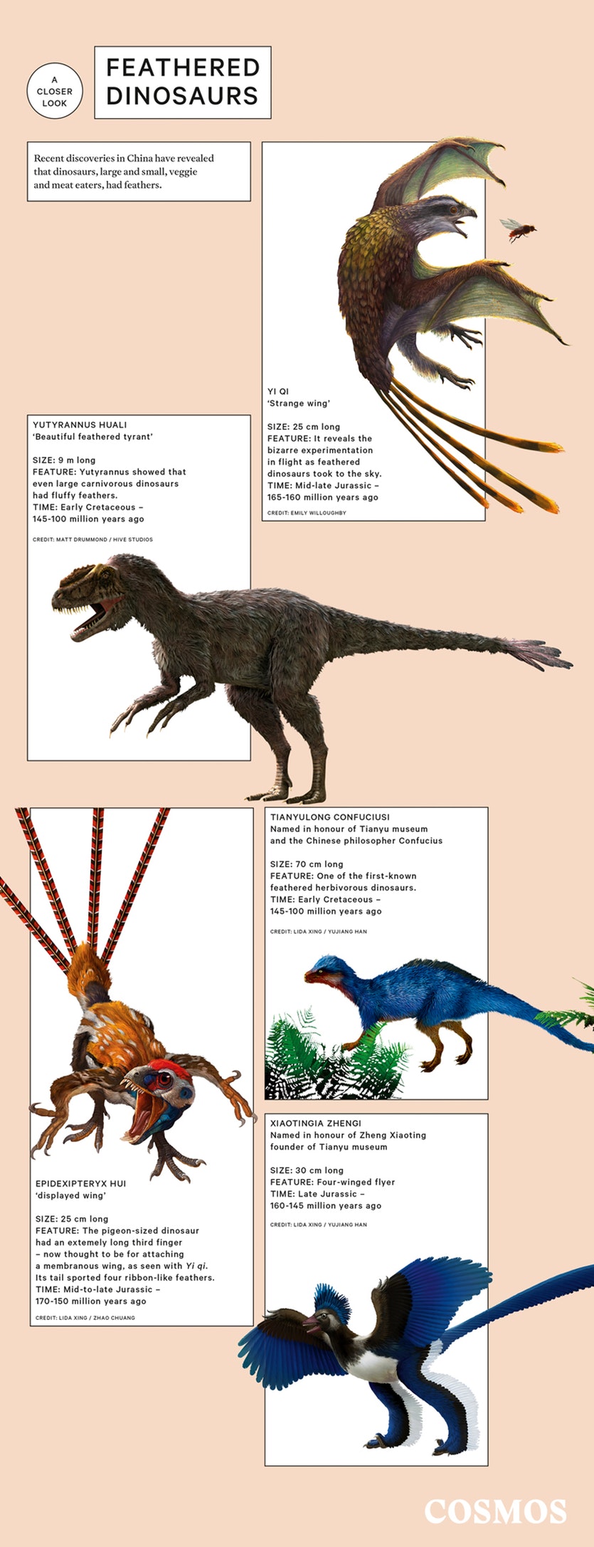 FEATHERED DINOSAURS