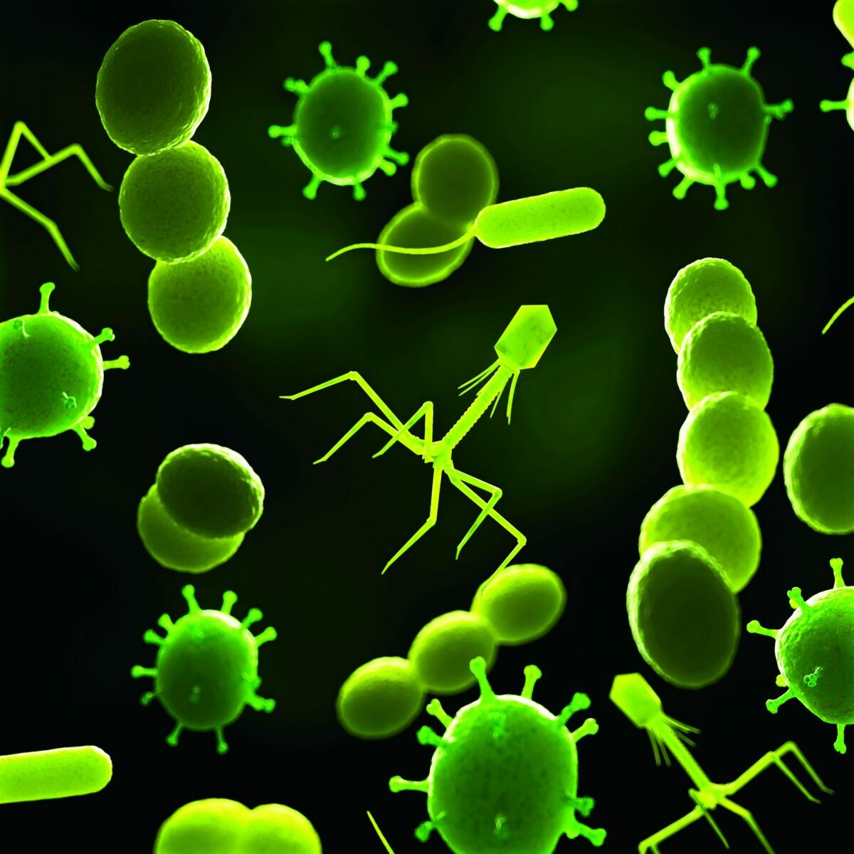 Next Gen Of Weapons Against Antibiotic-resistant Superbugs