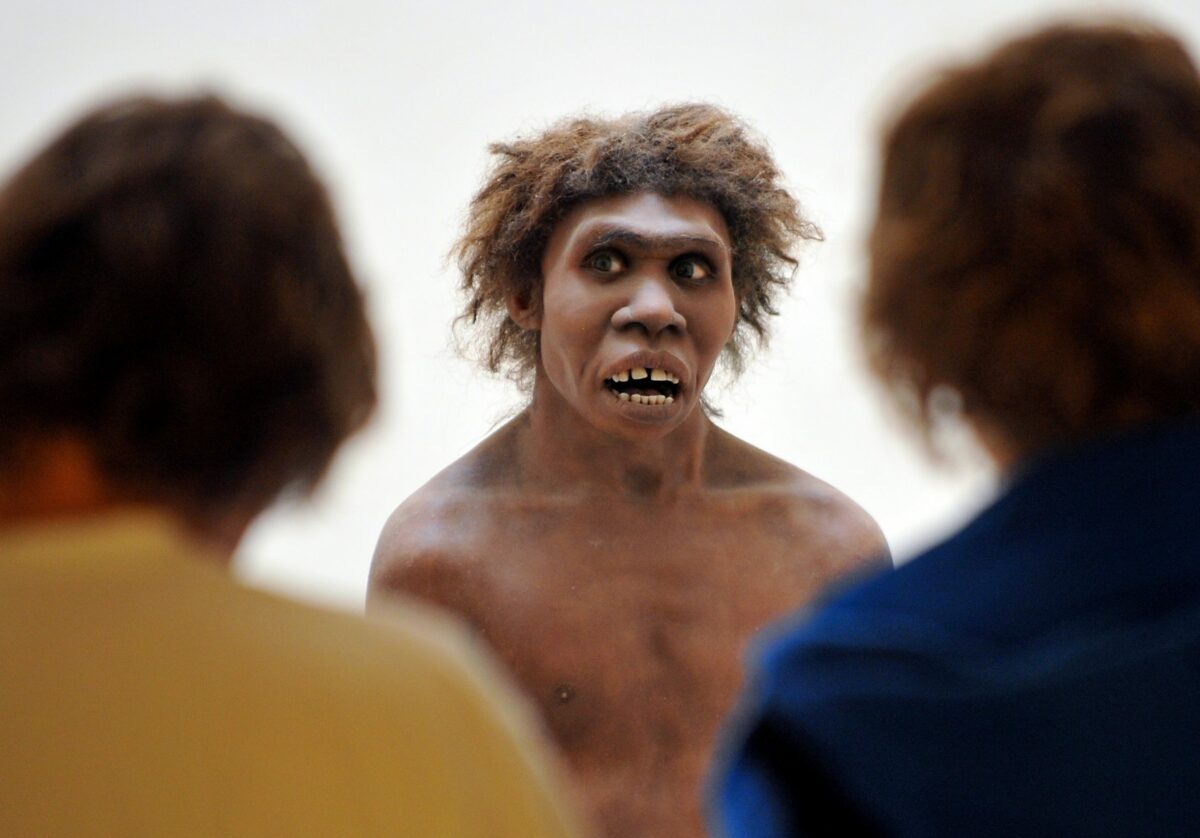 Neanderthal Extinction A Fizzle, Not A Bloodbath - Cosmos Magazine