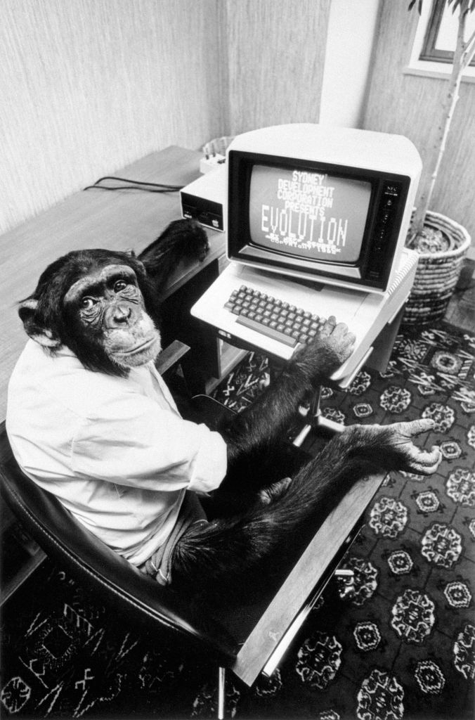 Monkey Plays Video Games With His Mind