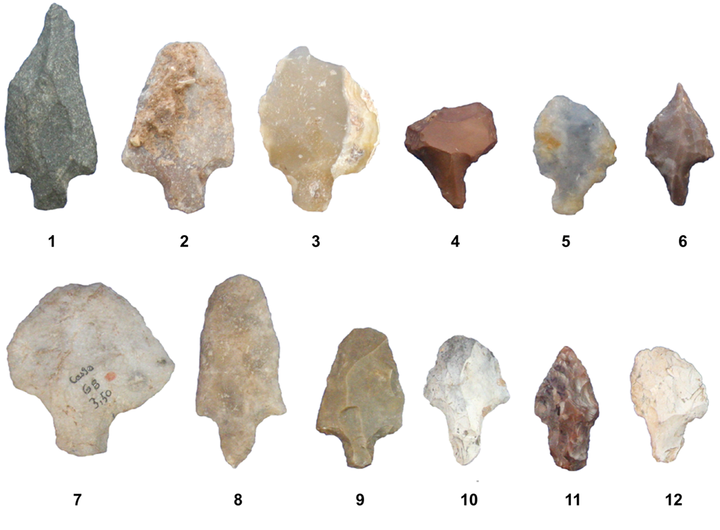 homo habilis tools and weapons