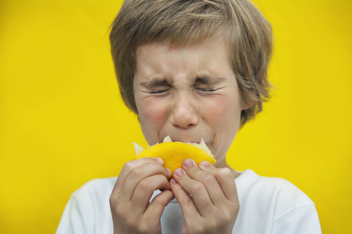 what-s-that-smell-repairs-that-get-smells-out-of-your-refrigerator