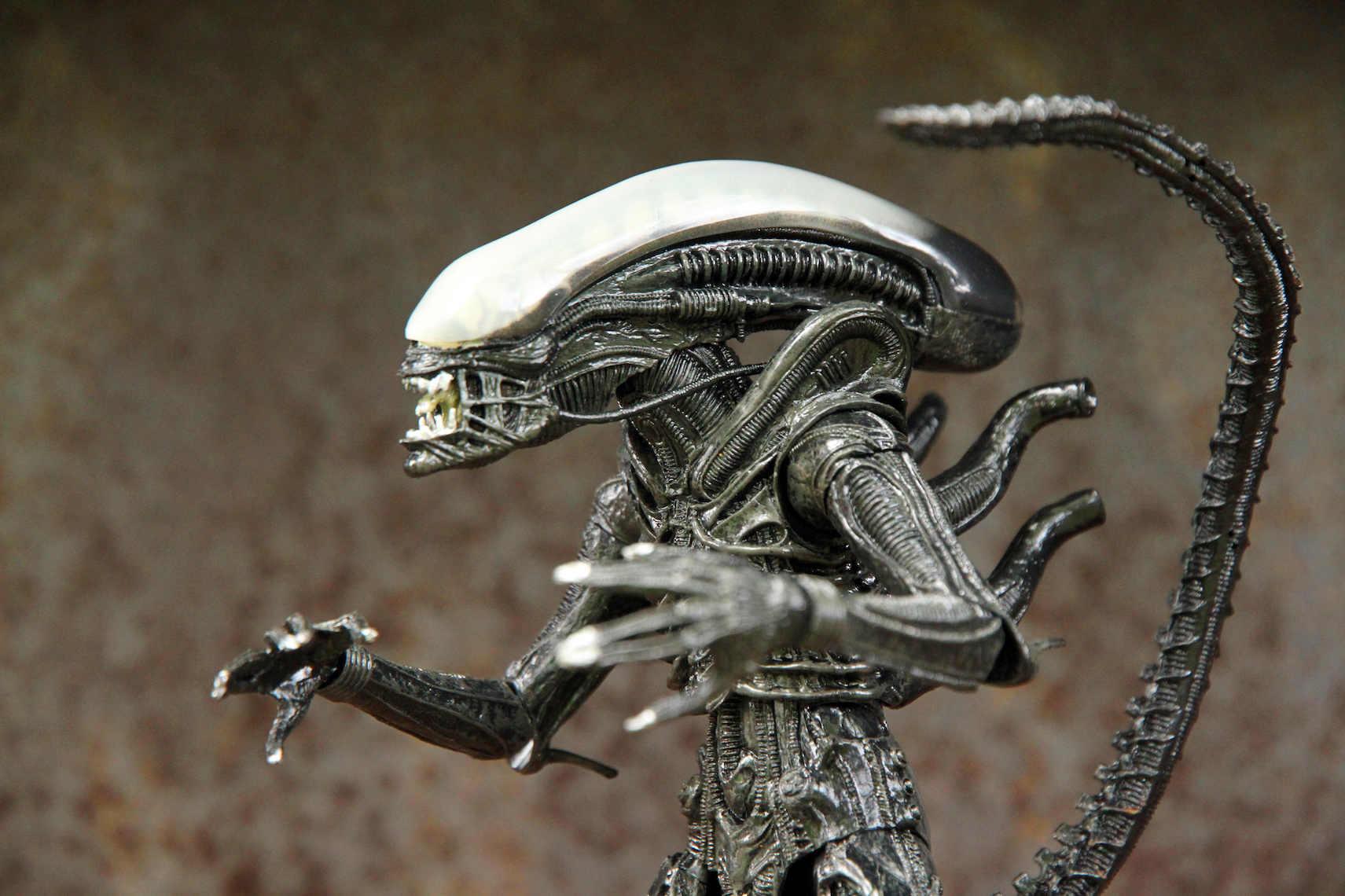 Meet Alien The Wasp Cosmos Magazine