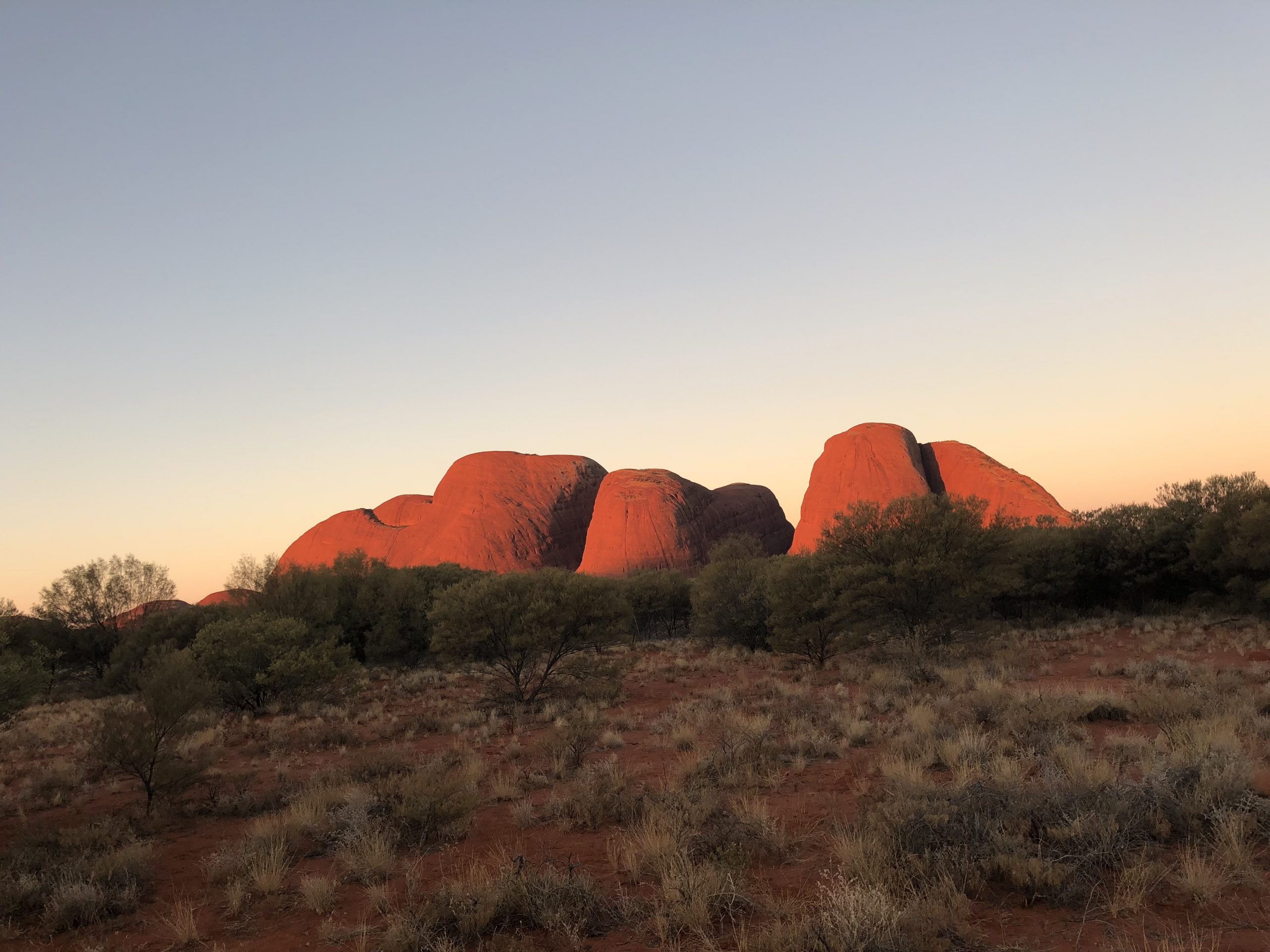 When Did Indigenous First Arrive In Australia