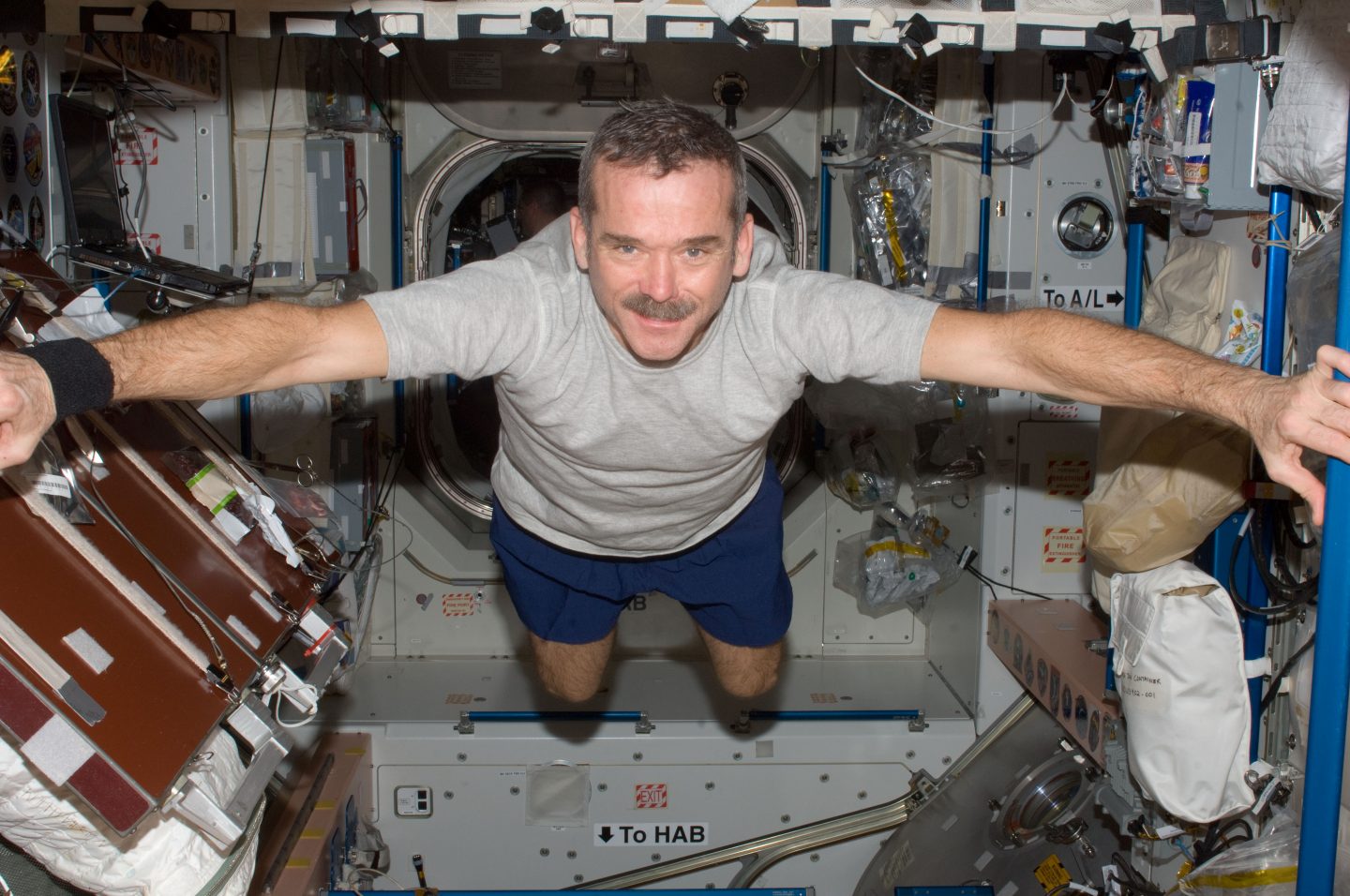 what-happens-to-the-brain-in-zero-gravity-cosmos-magazine