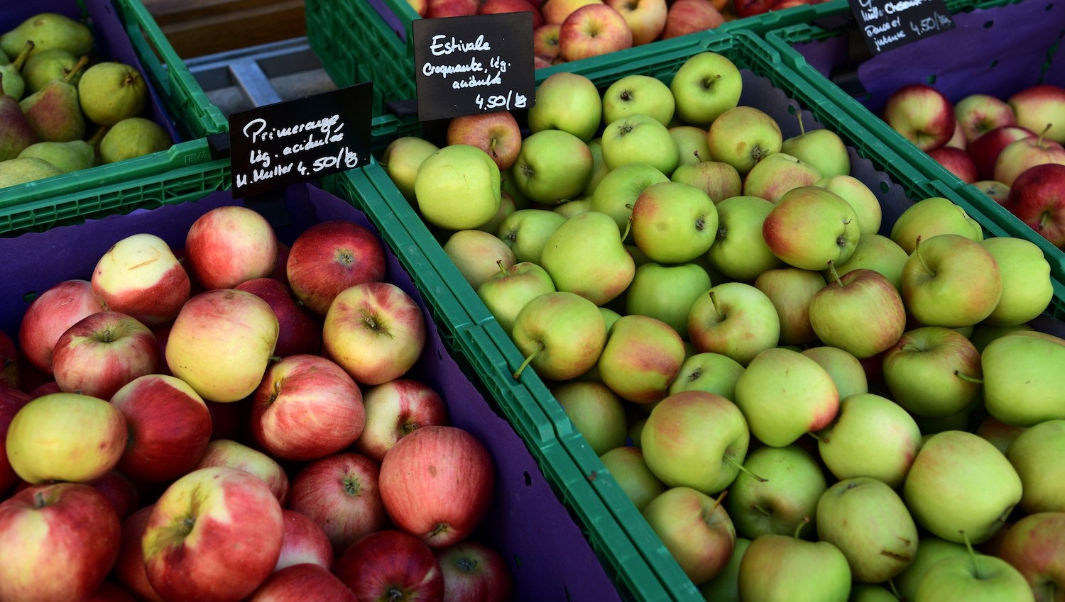 Study shows Organic apples are better for your gut - Australian Organic