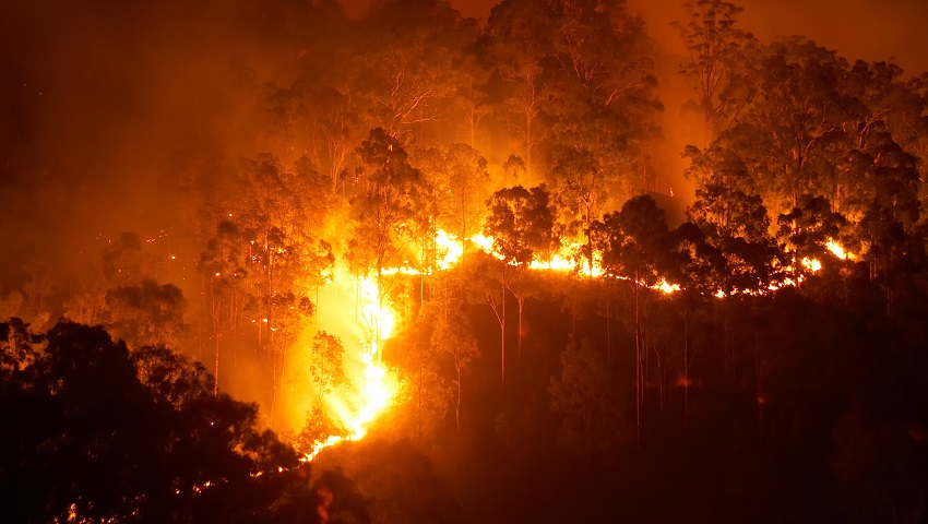 The new gel could provide long-term protection against the devastating effects of bushfires.