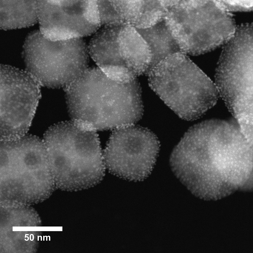 An electron micrograph of platinum nanoparticles distributed onto perovskite nanotubes.