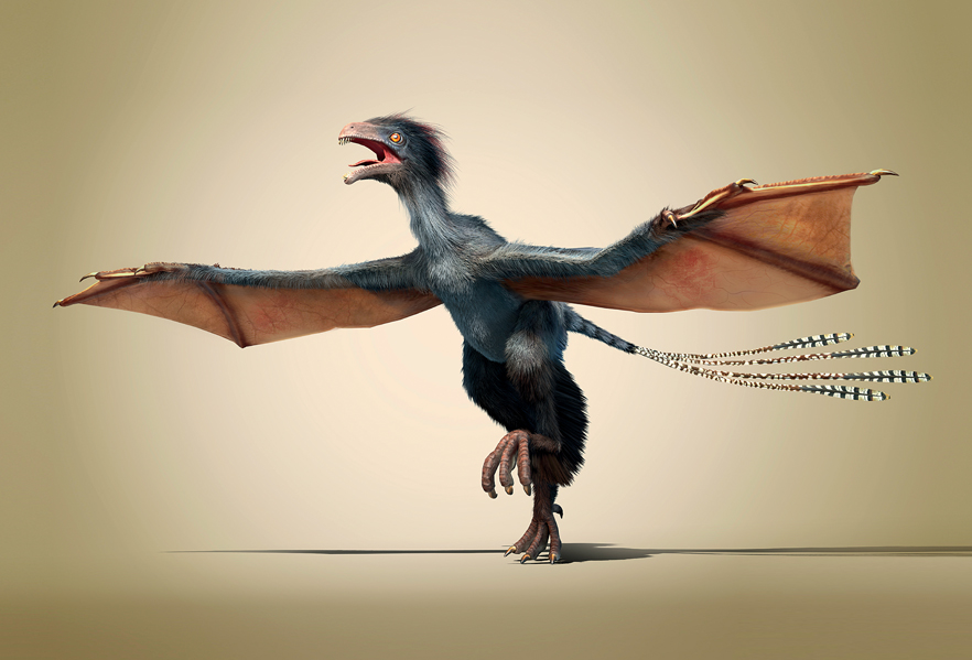 Space Dinosaurs: Archaeopteryx vs. Pterodactyl