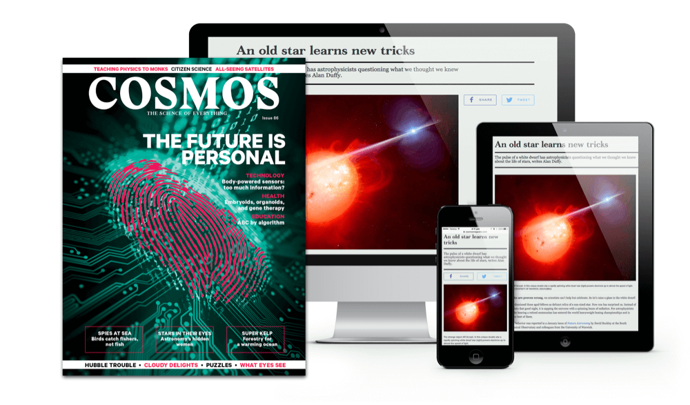 Issue 86 - The Future Is Personal