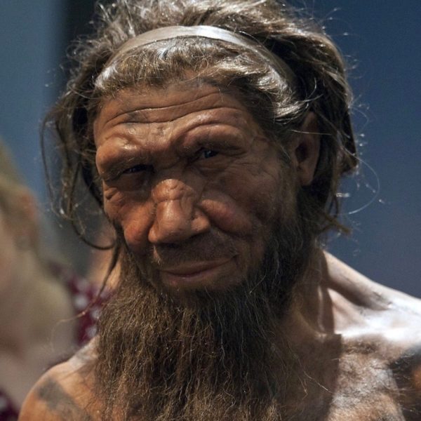 Neanderthals set fires briefly and gently - Cosmos Magazine