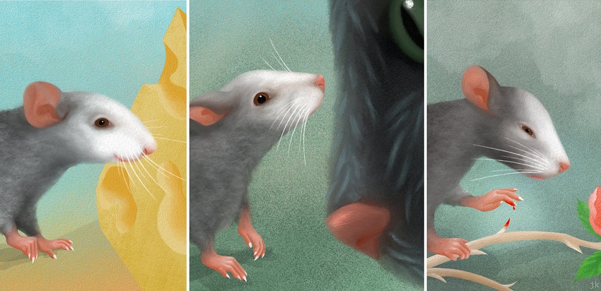 The emotional lives of mice