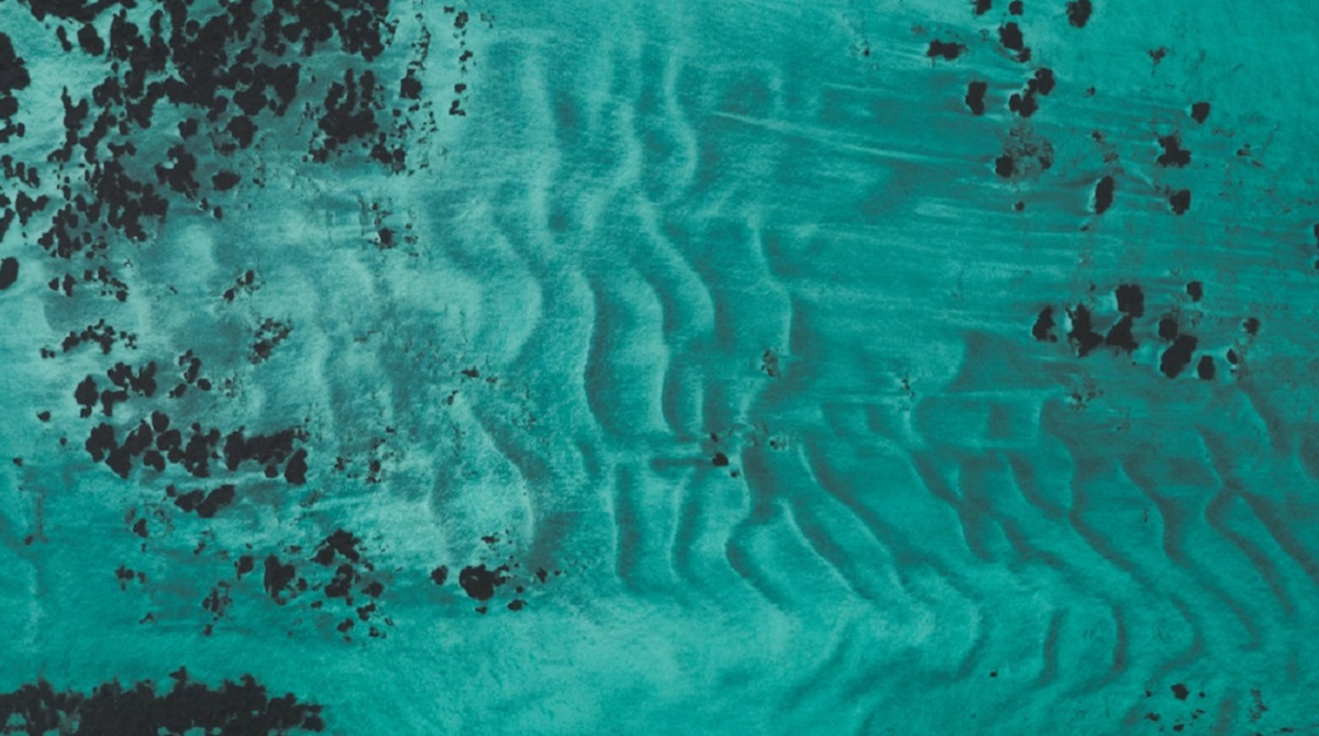 An image of the sea floor