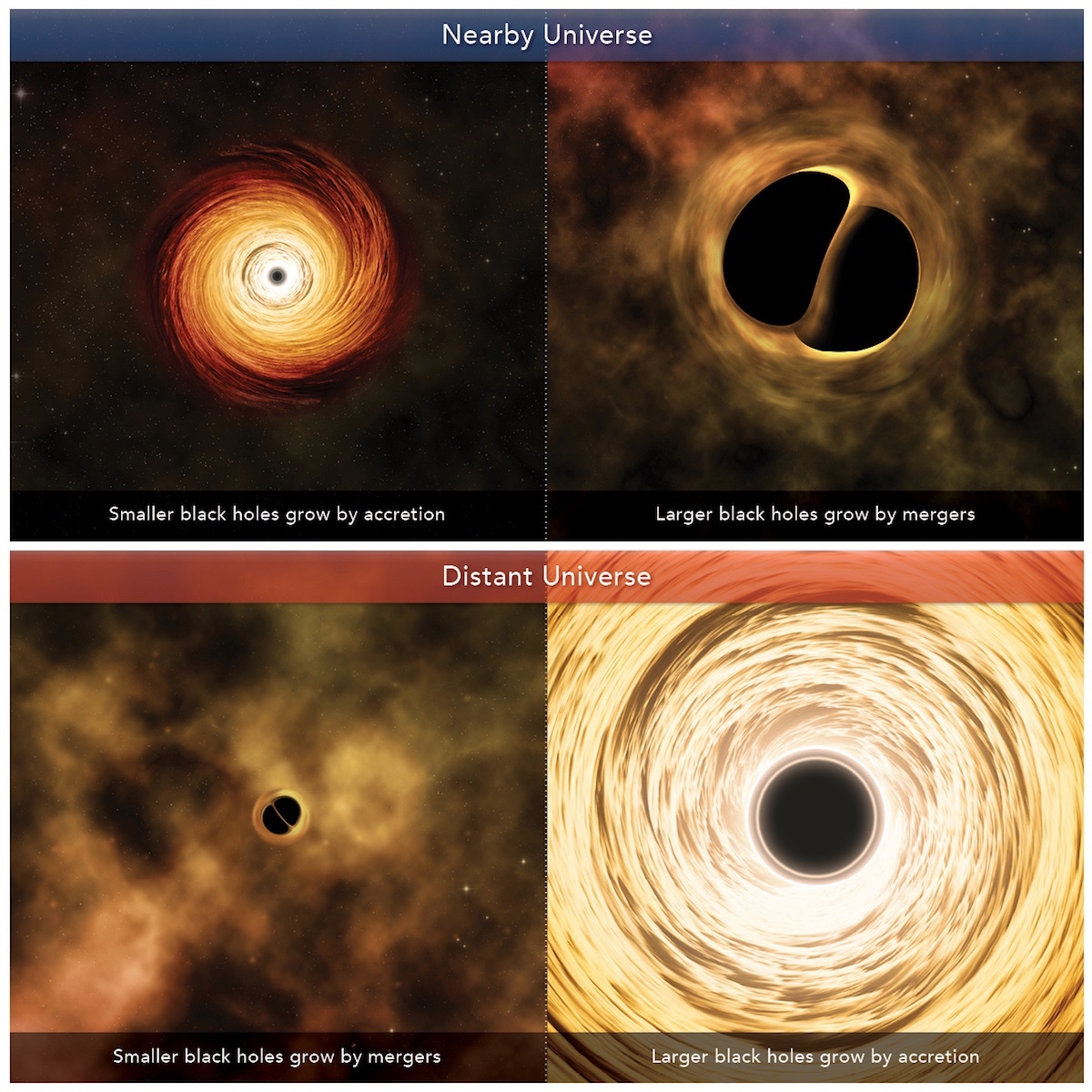 Black hole growth_black holes