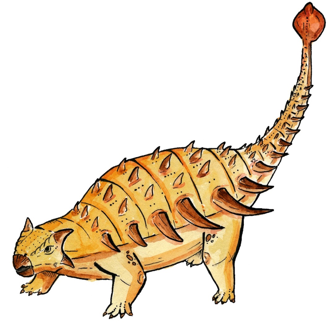 200609 ankylosaur
