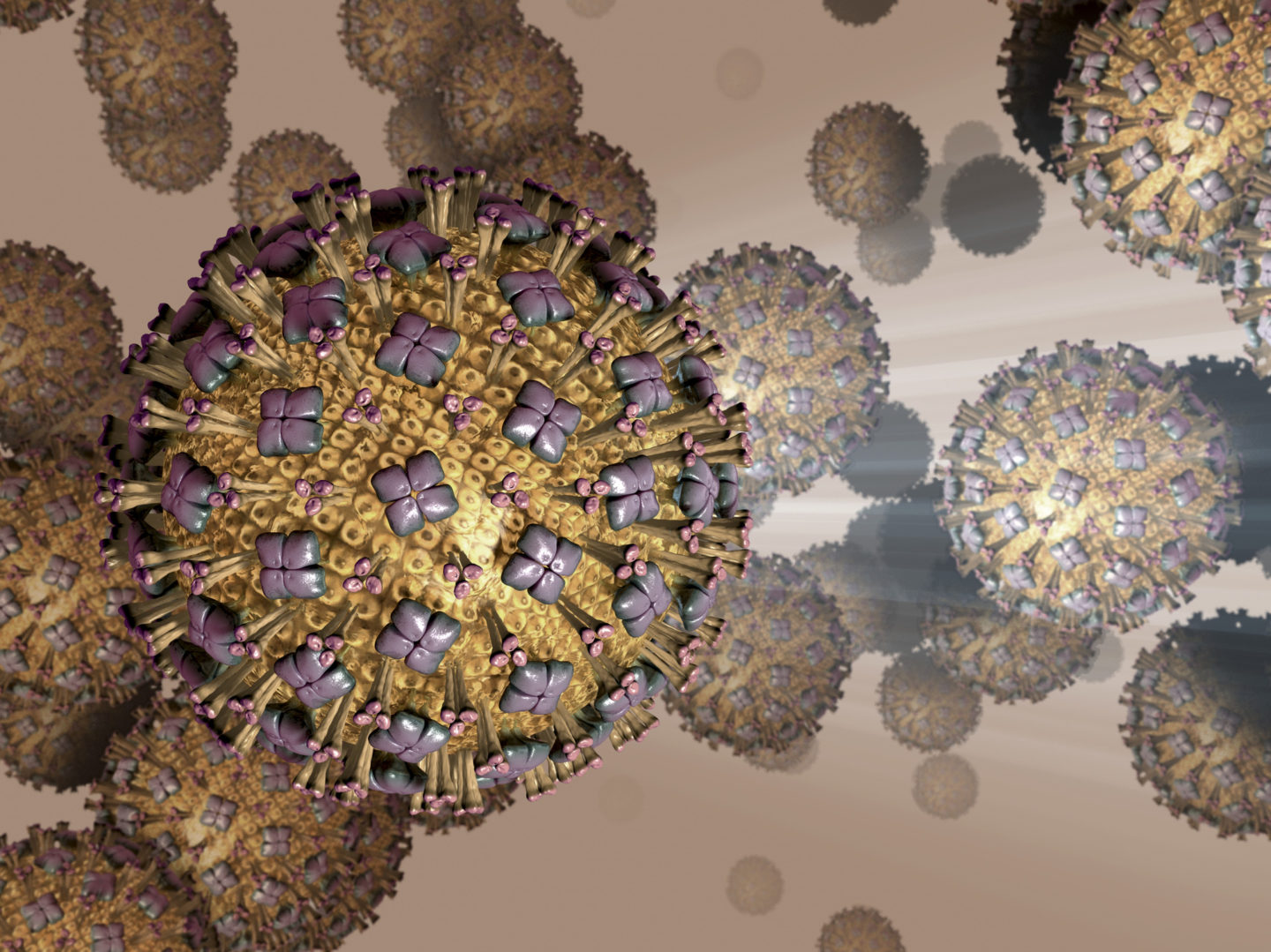 Animated view of viruses