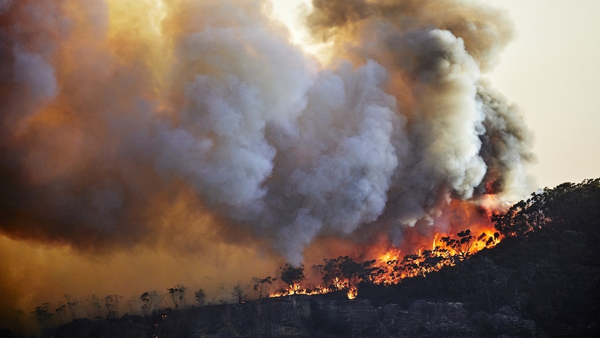 bushfires