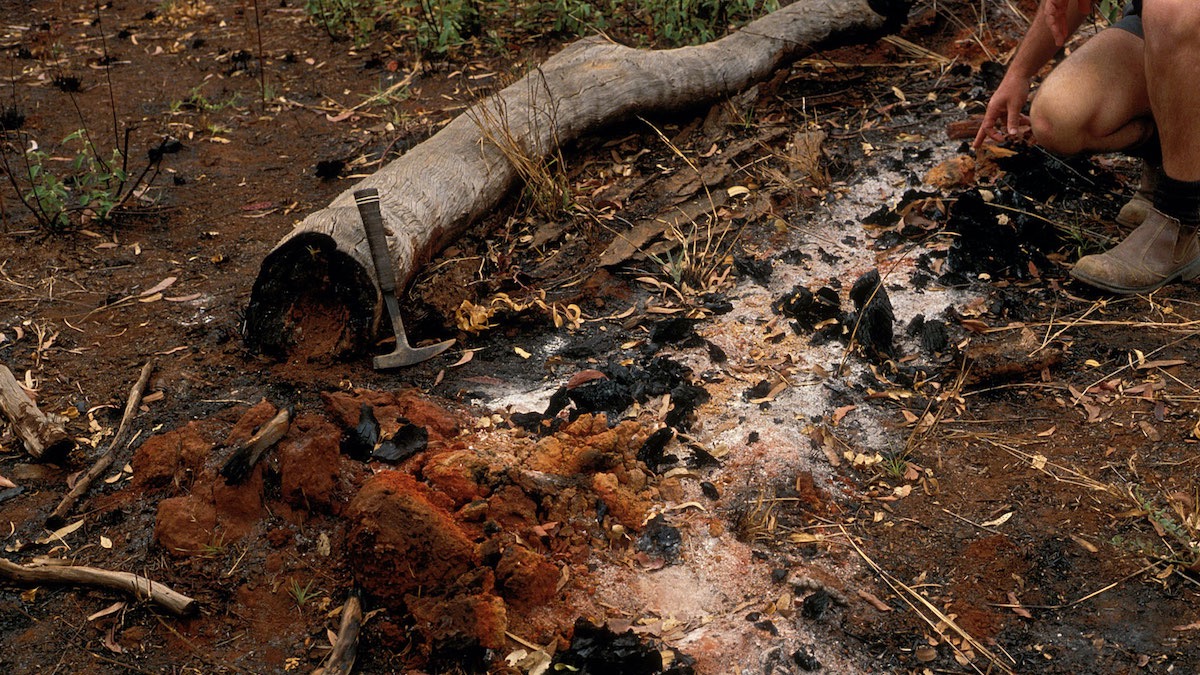 Bushfire soil