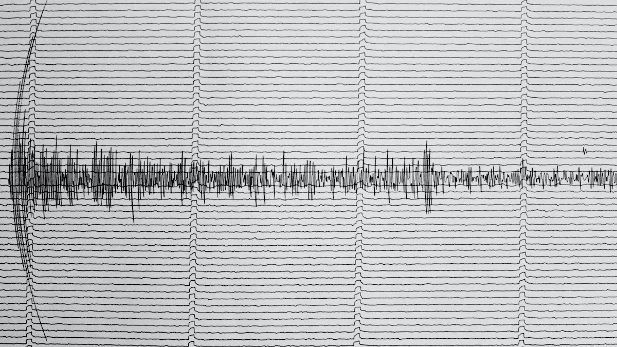Seismograph recording