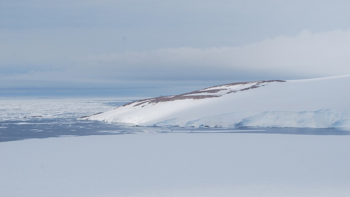 Penguins were here, but a while back