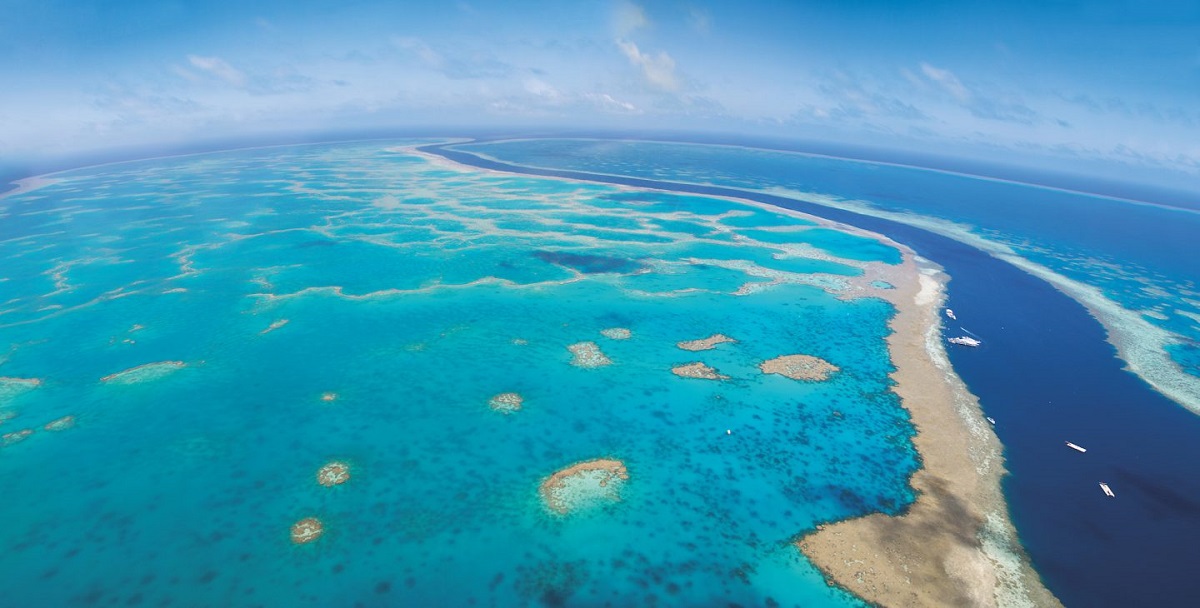 great barrier reef_coral