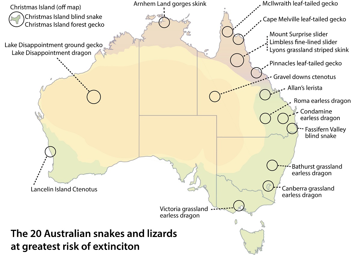 MAP of top 20 reptiles CREDIT Threatened Species Recovery Hub