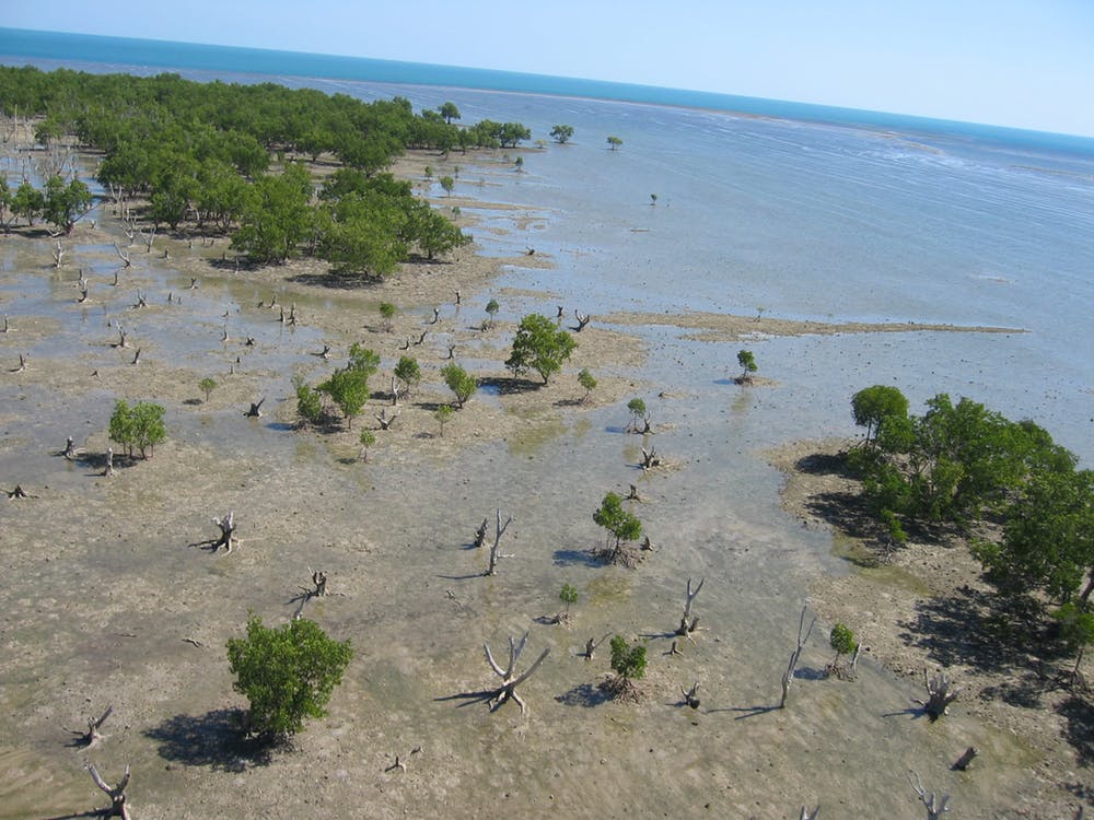 First australian migration coastal swampland