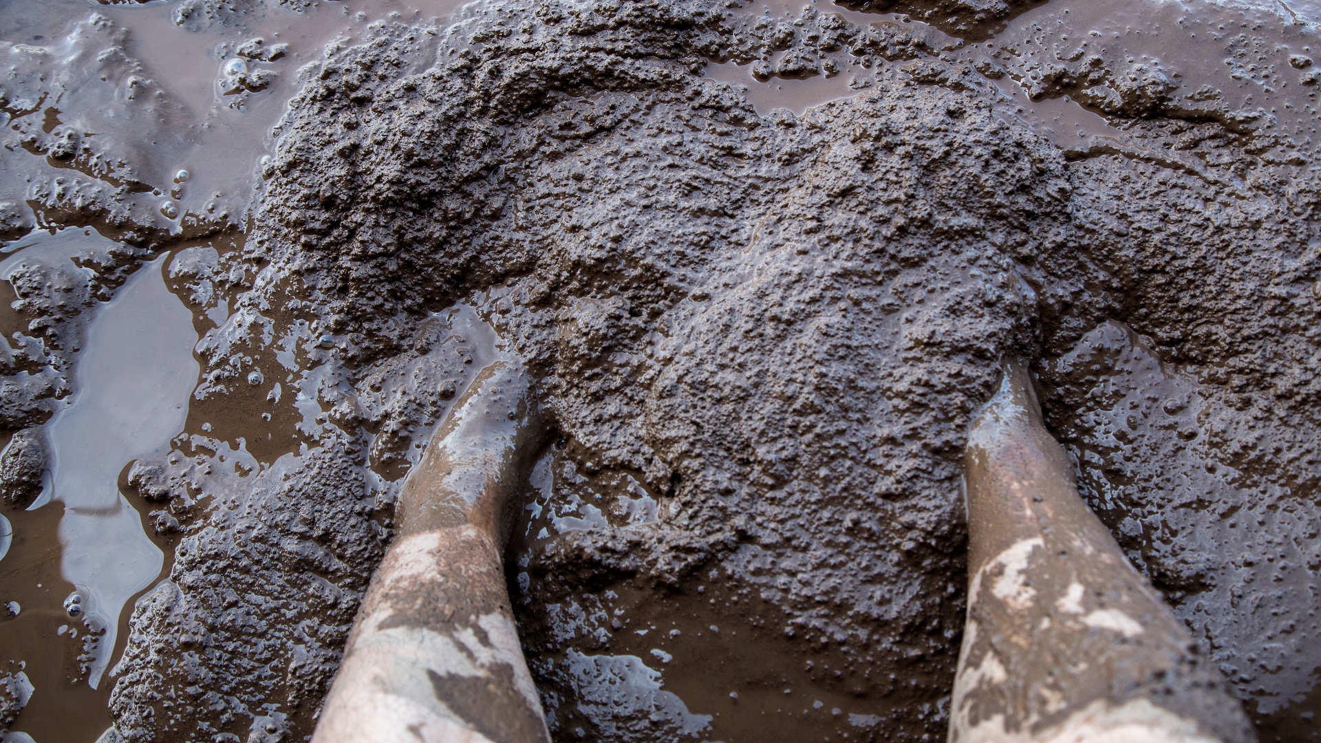 Pain Relief May Be Found In The Mud Cosmos Magazine