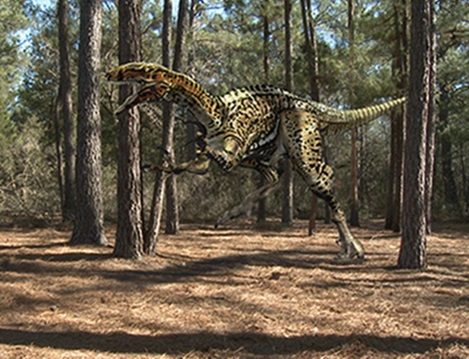 Megaraptorid theropods_dinosaur_australia