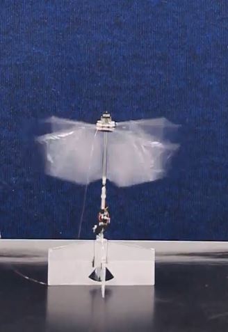 Flapping wing drone ornithopter