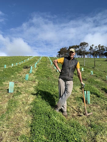 Tim jarvis replanting trees