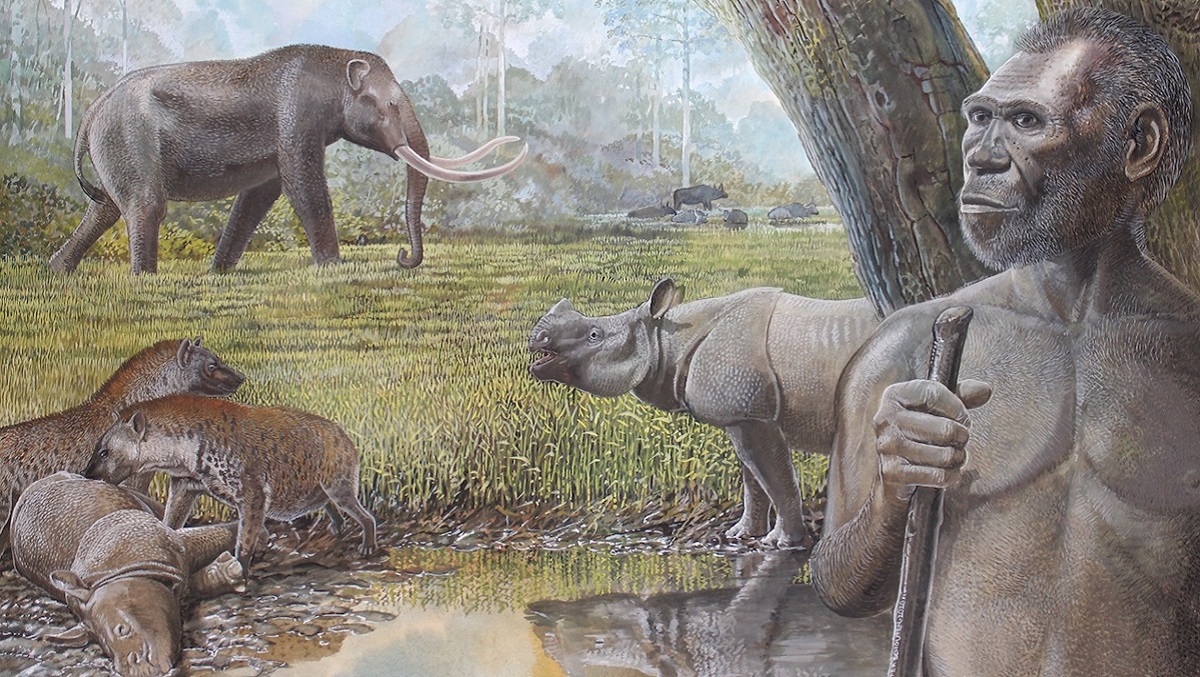 Megafauna Struggled In The Rainforest megafauna-big-animals-dinoanimals