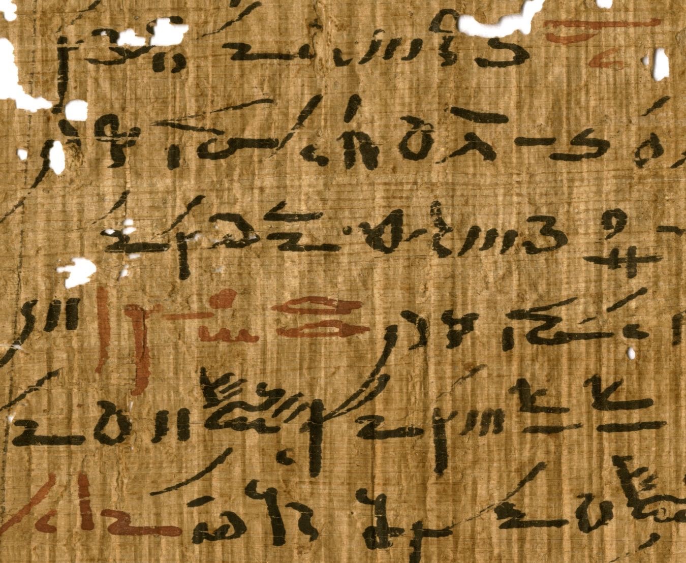 201028 Papyrus