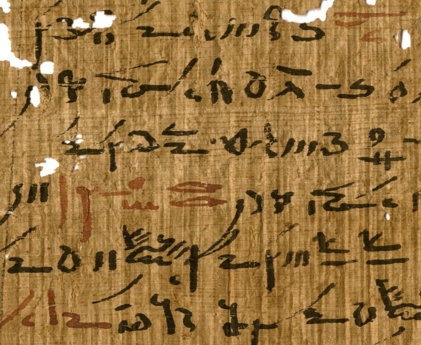 201028 papyrus