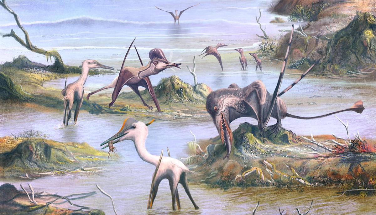 Size range of ten genera of pterosaurs used in this study with
