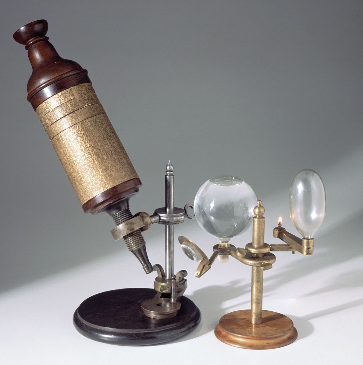 Who Discovered First Compound Microscope