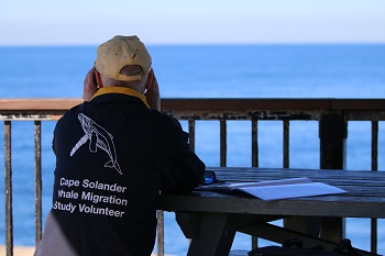 Citizen science_whale watching_cape solander whale migration study