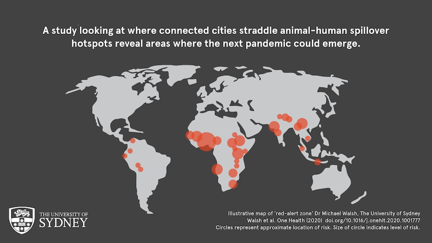 201127 pandemic map