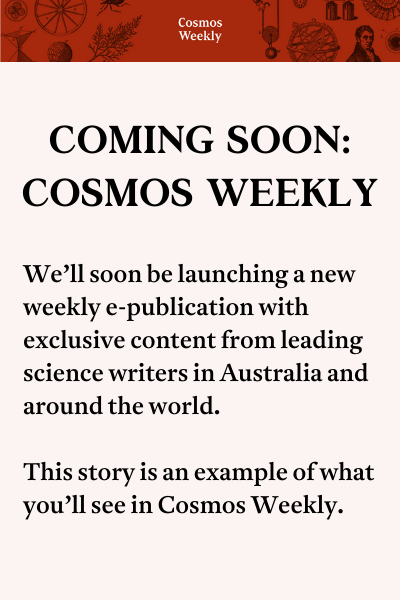 Cosmos weekly story preview 3