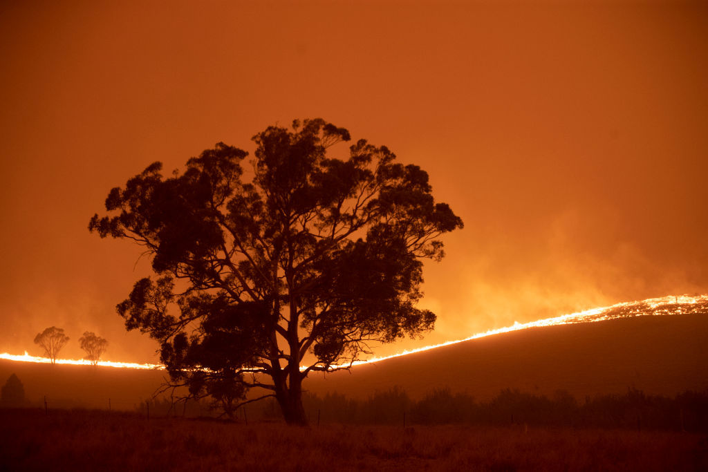bushfire report